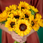 Eflorist