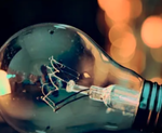 Light bulb