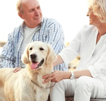 Older couple with a dog