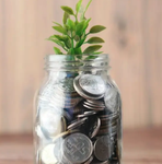 Money jar with plant