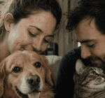 pets