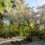 Barnsdale Gardens