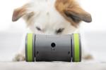 Petsafe