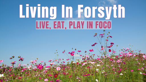living in Forsyth magazine logo