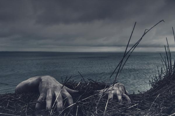 Hands