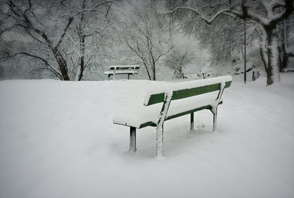 Bench in the snow 