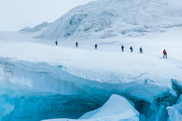 people walking in the snow