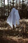 ghost in trees