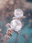 Glass Bulbs