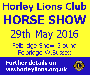 Horley Lions Club Horse Show