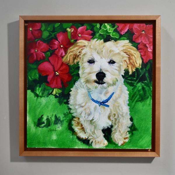 Finnigan, Pomeranian Toy Poodle, Painting