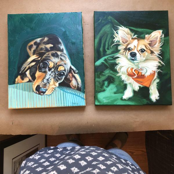 Dog Portraits