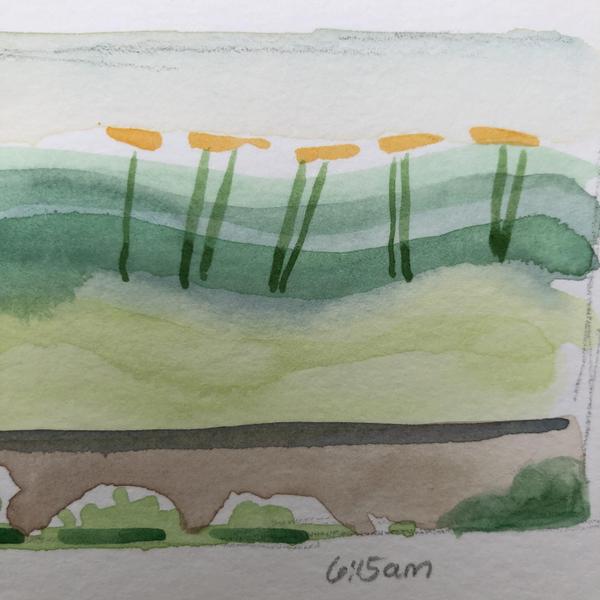 Garden Watercolors