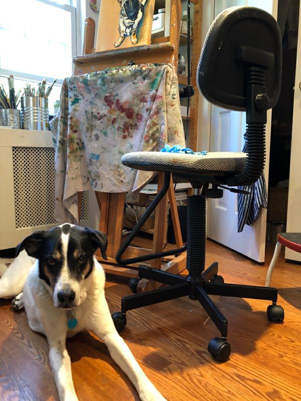 Ringo in my Studio