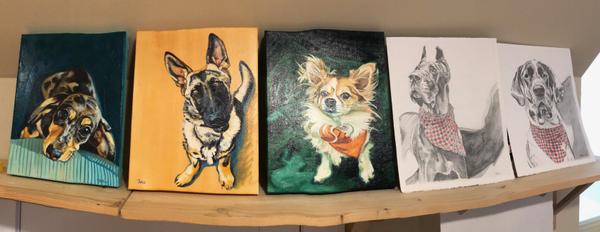 Dog Portraits