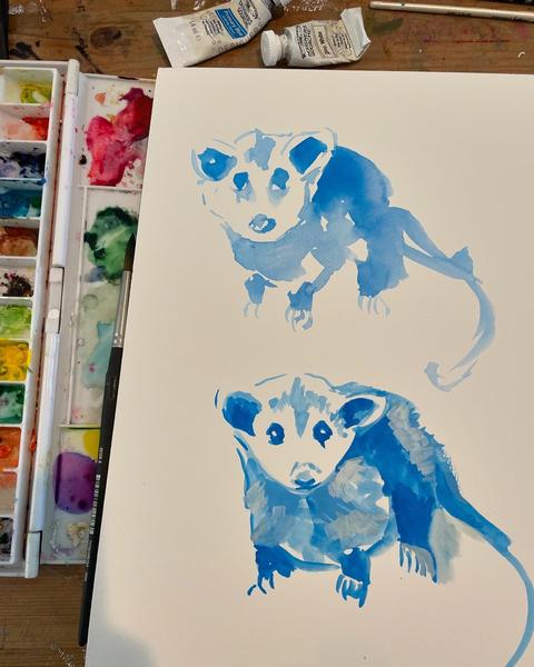 My Demo of Possums in Gouache