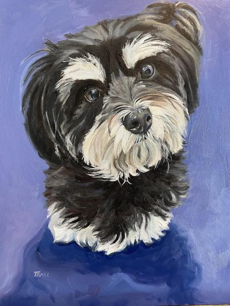 Black and White Fluffy Dog Painted in Oil on Violet Background
