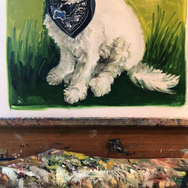 Cori - Dog Portrait in Progress