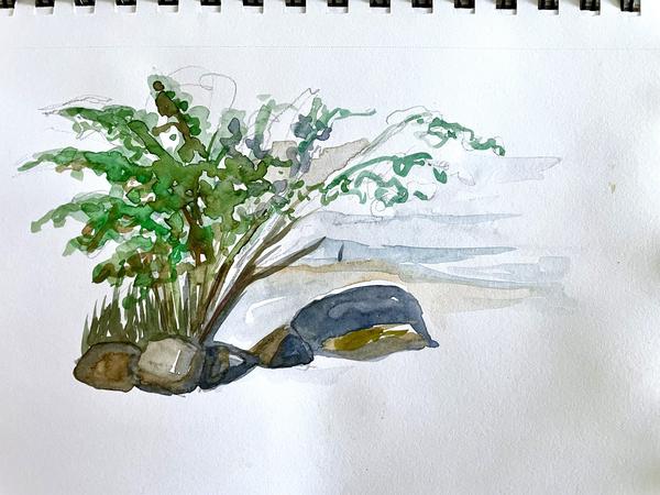 Watercolor Sketch from Fews Ford, Eno River, Durham, NC