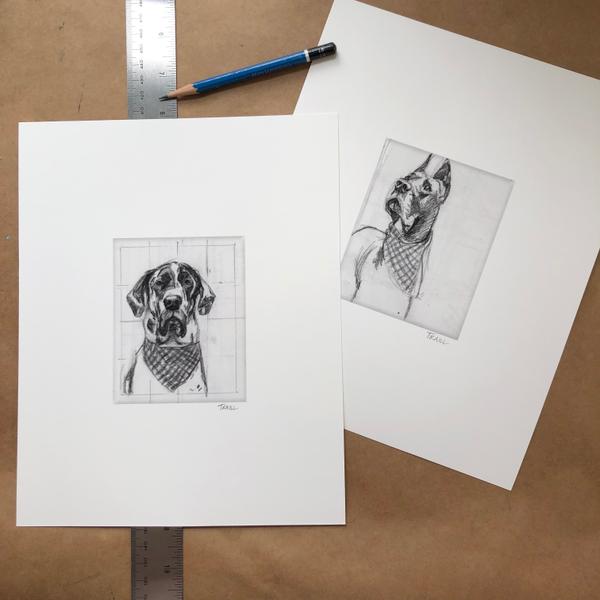 Dog Portrait Drawings