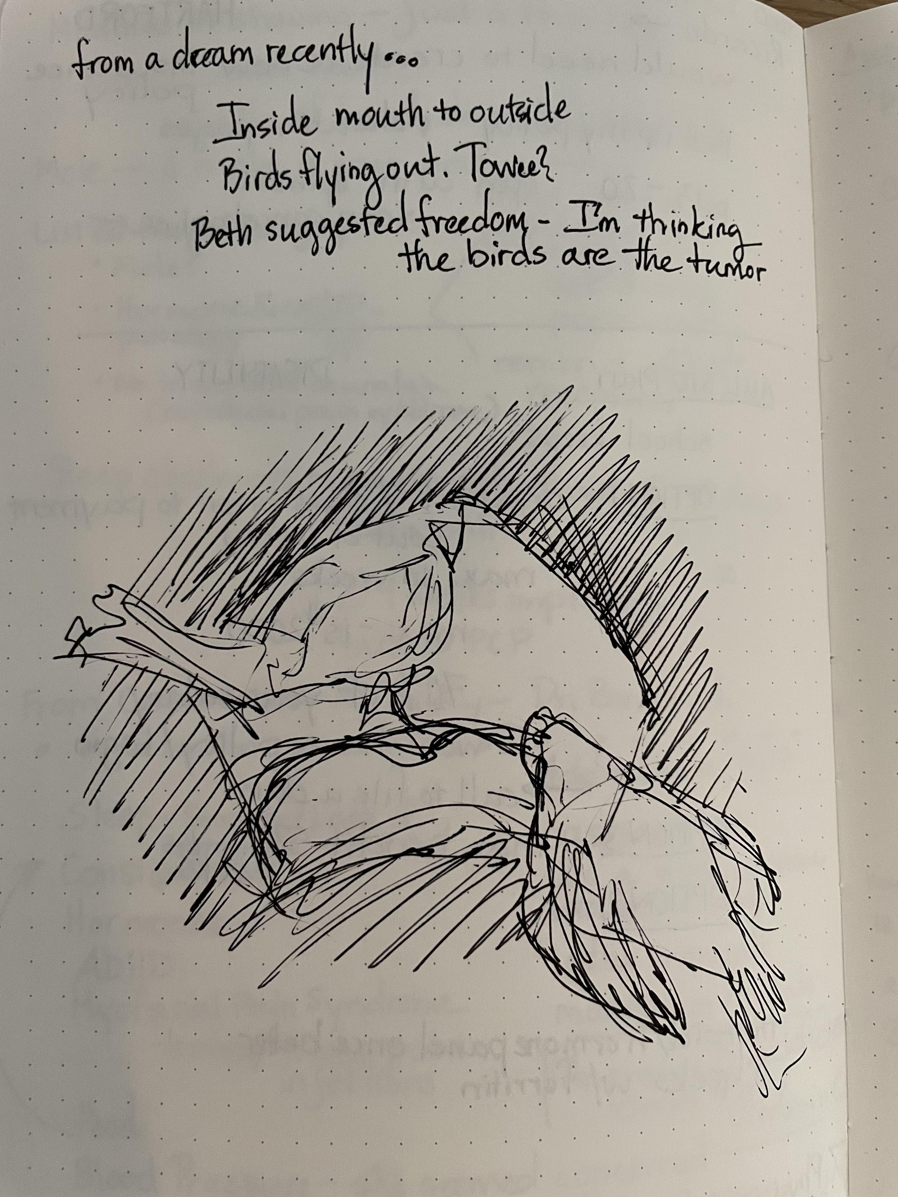 Rough Sketch of Birds flying out of the artist's skull, via mouth with notes