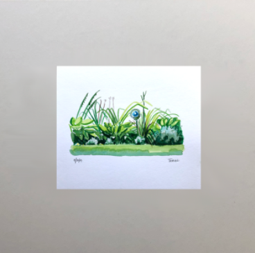 Garden Watercolors