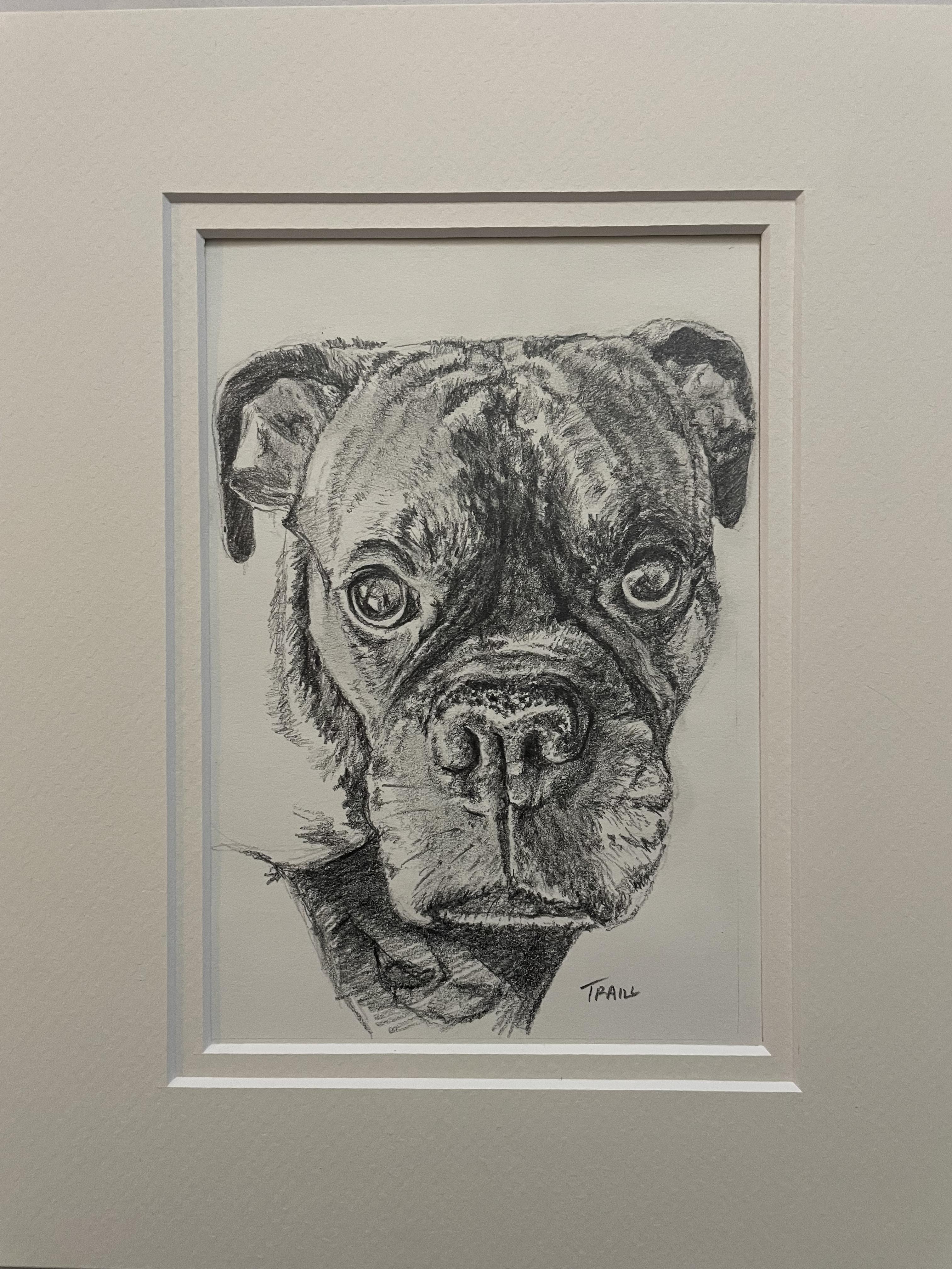 Graphite Drawing of a Dog in a Double Matboard - on Cream paper.