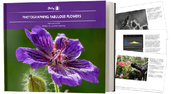 Photographing Fabulous Flowers Image