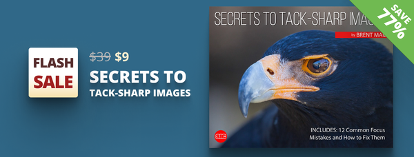 Tack Sharp Secrets