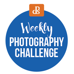 Weekly Photography Challenge