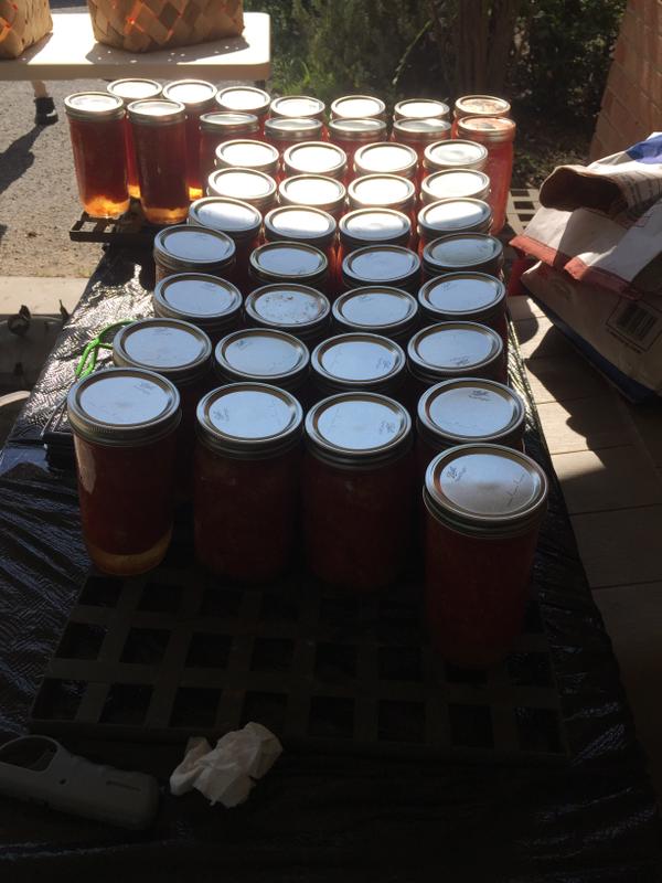 Canning Tomatoes