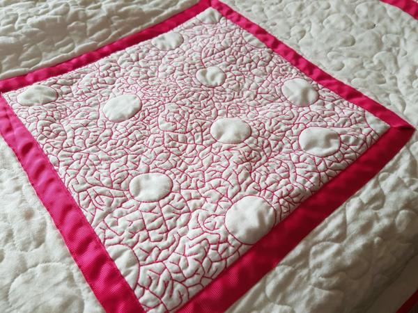 Faye's Free Motion Quilting Showcase quilt