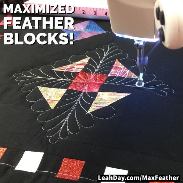 Quilters Creative Touch Computerized Quilting Designs