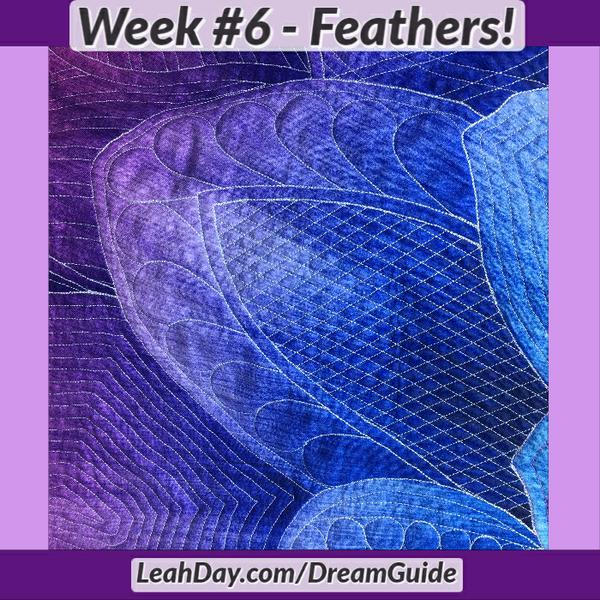 Quilting Feathers in the Dream Big Quilt Panel