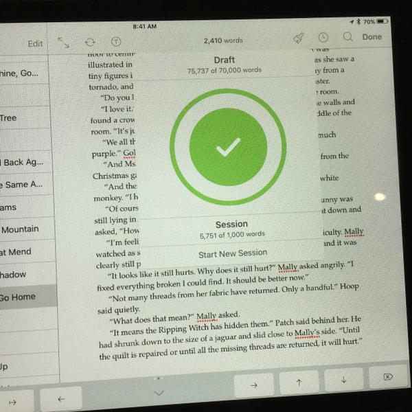 Adventures in Quilting