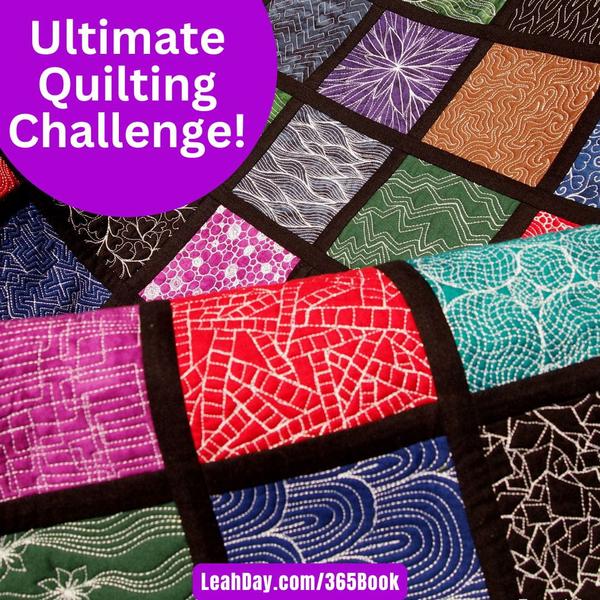 365 Free Motion Quilting Designs Book