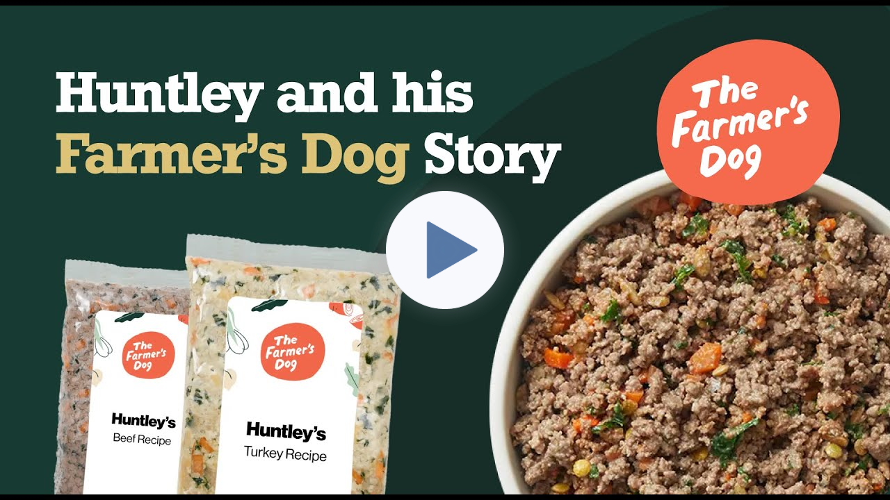 Huntley and his Farmer's Dog Story
