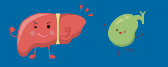 Liver and Gallbladder
