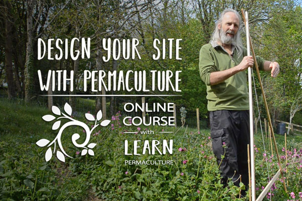 Design Your Site with Permaculture online course