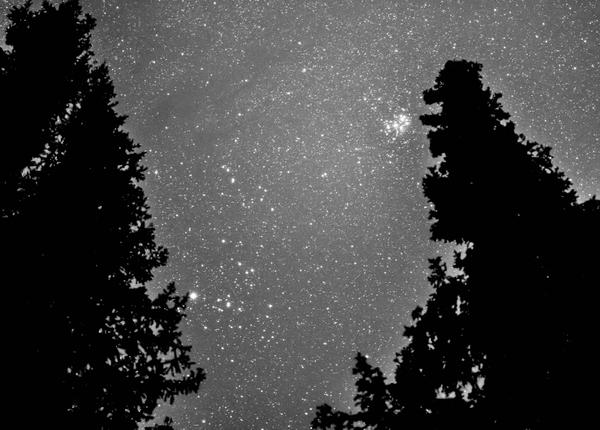 Pleiades