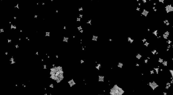 Pleiades