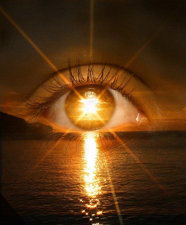 Zender on Revelation