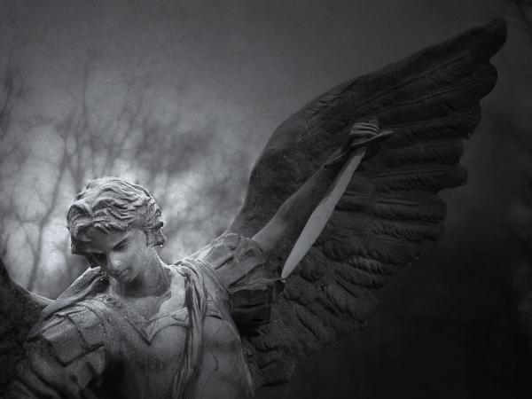 Zender on Revelation