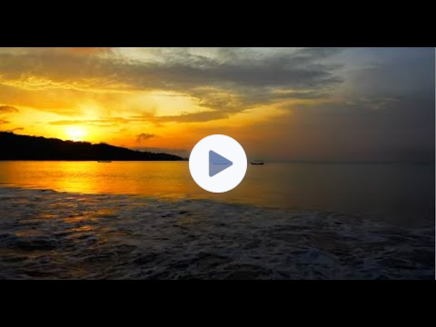 MZ/IB Archive - ZenderTalk: Volume Fifteen, Teach of Grace (Part B) - Shows 89-90