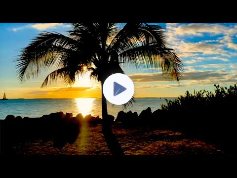 MZIB Archive - Hebrews Series: Week Twelve: "Responding to Advantages and Words" (Shows 23 & 24)