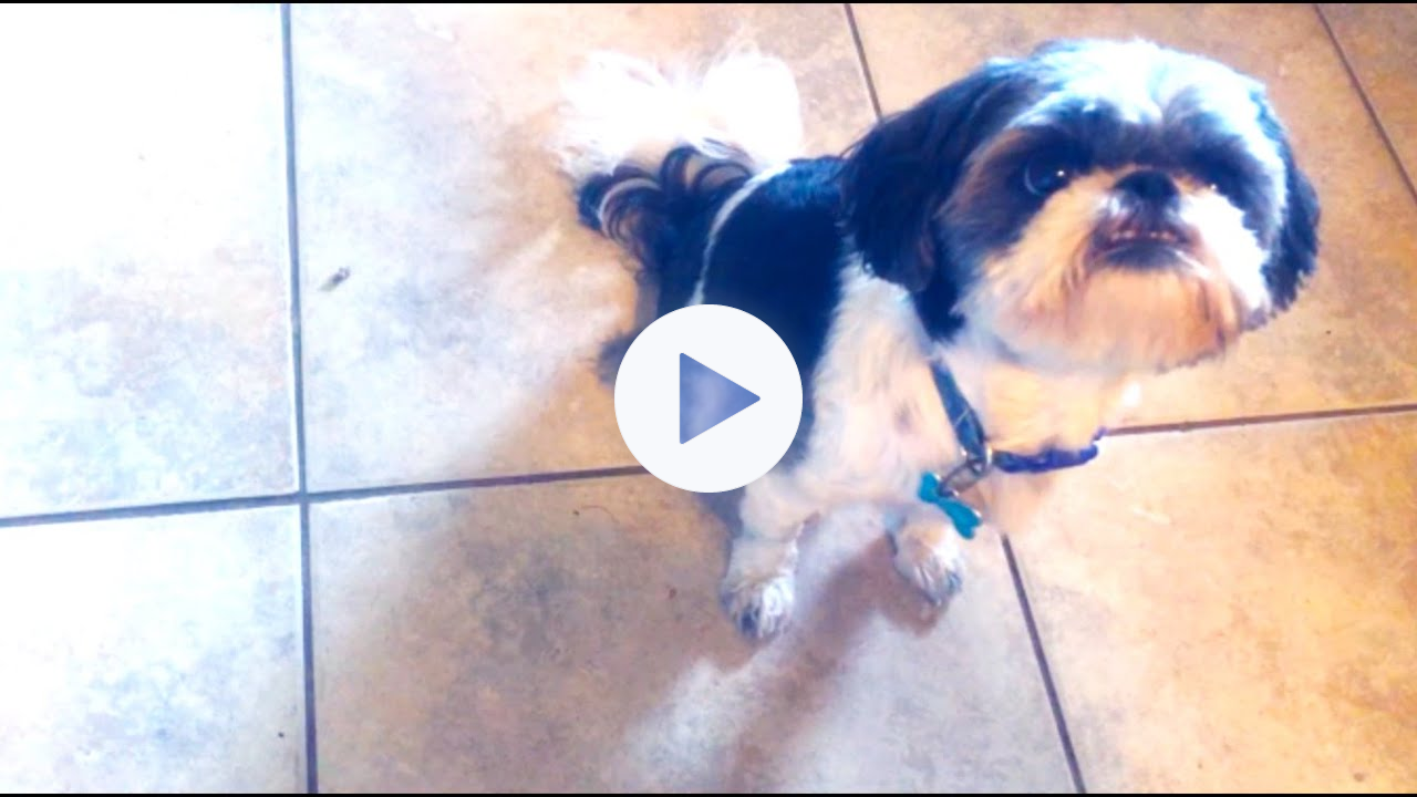 MZTV 755: Don't Worry About Your Flesh