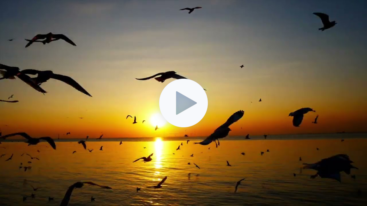 MZIB Archive - Hebrews Series: Week Nineteen "Israel's Status and Jealousy" (Shows 37 & 38)