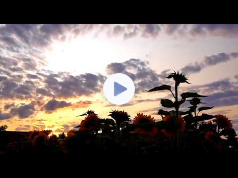 MZIB Archive - Hebrews Series: Week Eighteen "Israel's Gospel Embraced and Loved" (Shows 35 & 36)