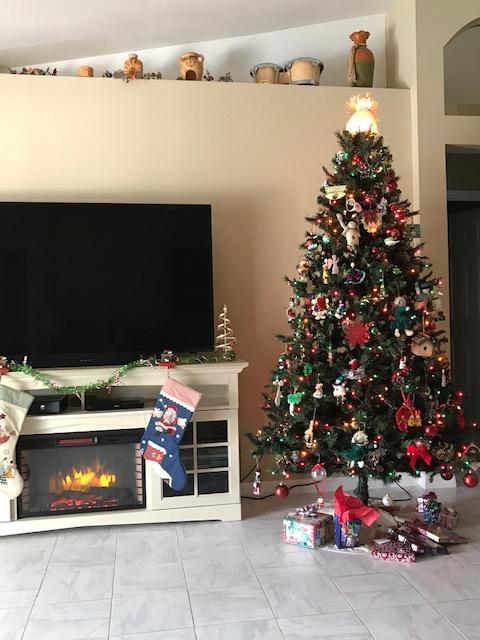 Our Christmas Tree 2019