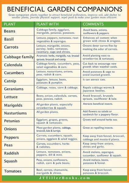 Gardening Planner